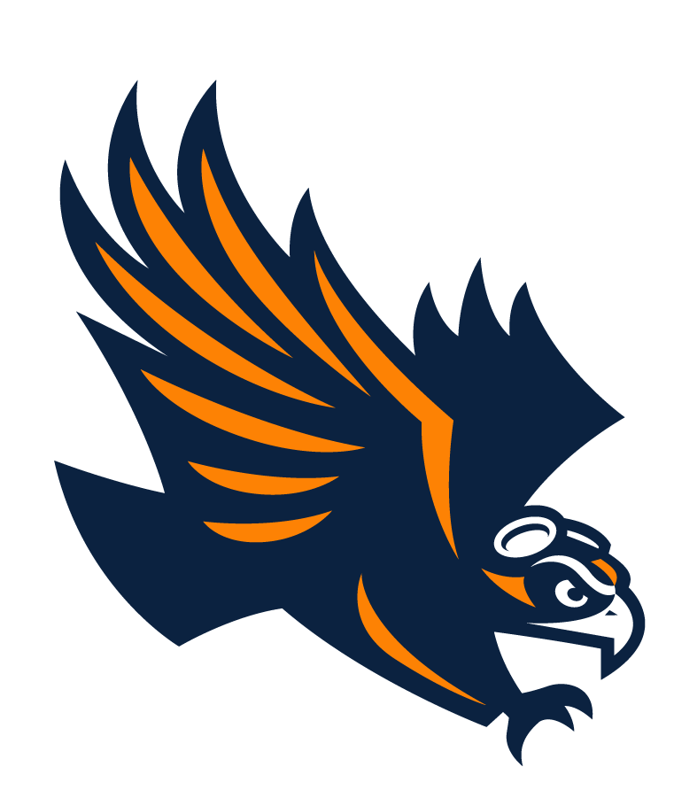 Tennessee-Martin Skyhawks 2020-Pres Secondary Logo diy DTF decal sticker